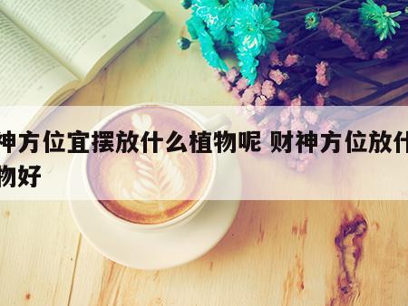 财神方位宜摆放什么植物呢 财神方位放什么植物好