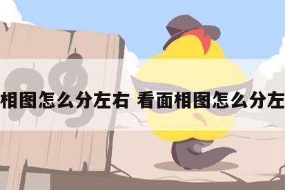 看面相图怎么分左右 看面相图怎么分左右眼