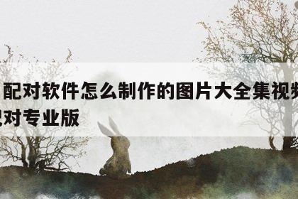 姓名配对软件怎么制作的图片大全集视频 姓名配对专业版