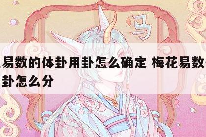 梅花易数的体卦用卦怎么确定 梅花易数体卦和用卦怎么分