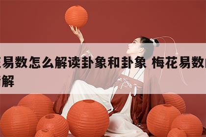 梅花易数怎么解读卦象和卦象 梅花易数的卦例精解