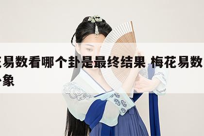 梅花易数看哪个卦是最终结果 梅花易数怎么看卦象