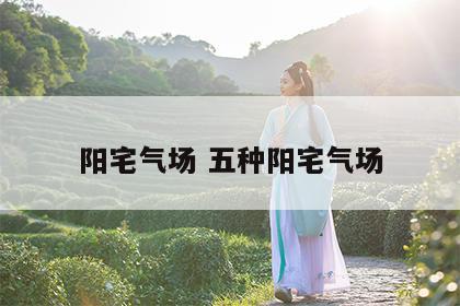 阳宅气场 五种阳宅气场