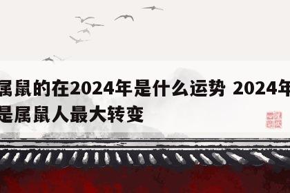 属鼠的在2024年是什么运势 2024年是属鼠人最大转变