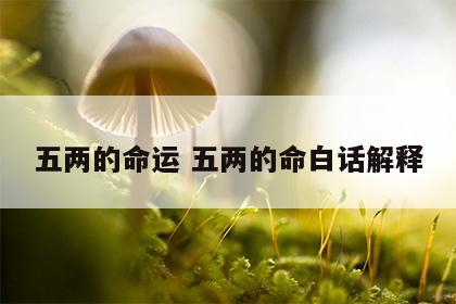五两的命运 五两的命白话解释
