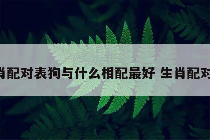 生肖配对表狗与什么相配最好 生肖配对 狗