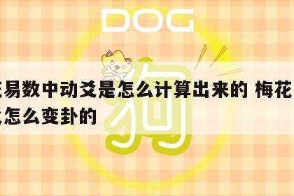 梅花易数中动爻是怎么计算出来的 梅花易数动爻怎么变卦的