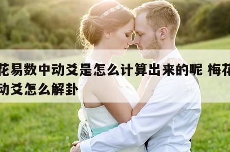 梅花易数中动爻是怎么计算出来的呢 梅花易数动爻怎么解卦