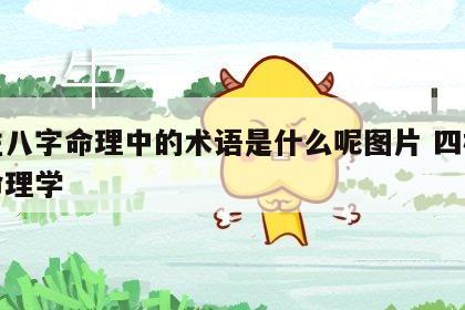 四柱八字命理中的术语是什么呢图片 四柱八字命理学