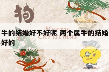 俩属牛的结婚好不好呢 两个属牛的结婚有没有不好的