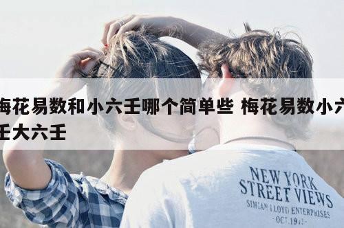 梅花易数和小六壬哪个简单些 梅花易数小六壬大六壬