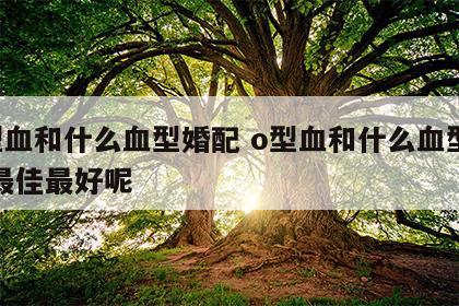 o型血和什么血型婚配 o型血和什么血型婚配最佳最好呢