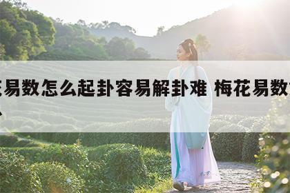 梅花易数怎么起卦容易解卦难 梅花易数如何起卦