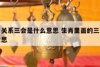 生肖关系三会是什么意思 生肖里面的三会什么意思