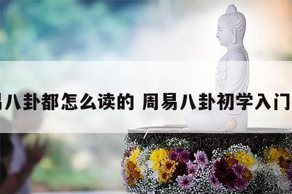 周易八卦都怎么读的 周易八卦初学入门教程