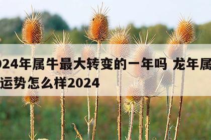 2024年属牛最大转变的一年吗 龙年属牛的运势怎么样2024