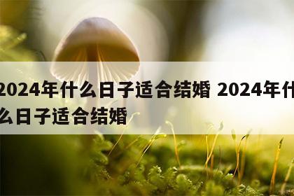 2024年什么日子适合结婚 2024年什么日子适合结婚