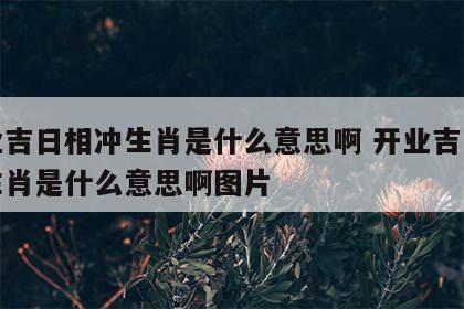 开业吉日相冲生肖是什么意思啊 开业吉日相冲生肖是什么意思啊图片