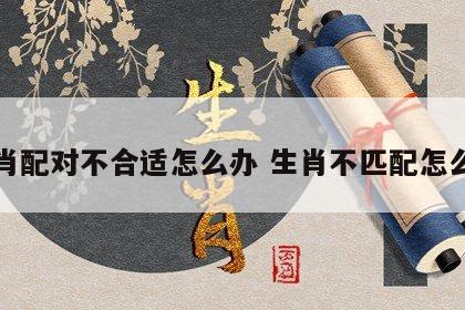 生肖配对不合适怎么办 生肖不匹配怎么办