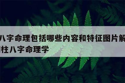 四柱八字命理包括哪些内容和特征图片解释大全 四柱八字命理学