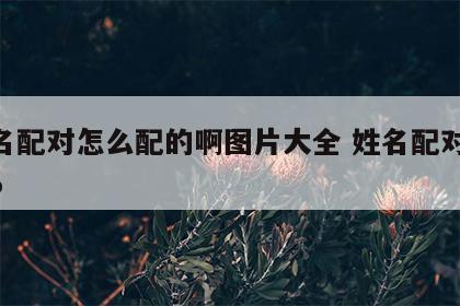 姓名配对怎么配的啊图片大全 姓名配对100%
