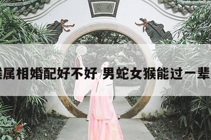 蛇猴属相婚配好不好 男蛇女猴能过一辈子吗