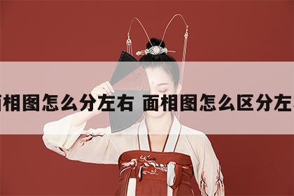 面相图怎么分左右 面相图怎么区分左右