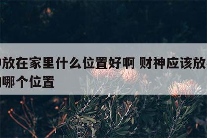 财神放在家里什么位置好啊 财神应该放在家里的哪个位置