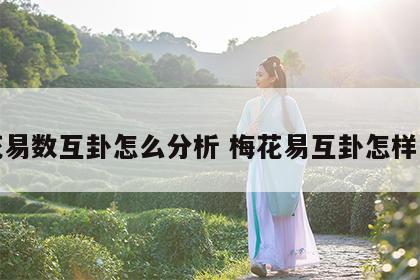 梅花易数互卦怎么分析 梅花易互卦怎样来的