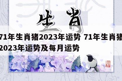 71年生肖猪2023年运势 71年生肖猪2023年运势及每月运势