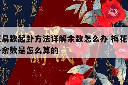 梅花易数起卦方法详解余数怎么办 梅花易数起卦余数是怎么算的