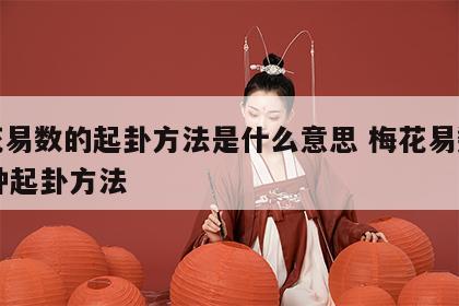 梅花易数的起卦方法是什么意思 梅花易数的12种起卦方法