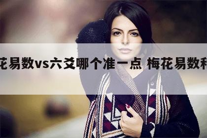 梅花易数vs六爻哪个准一点 梅花易数和六爻
