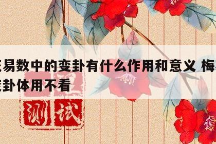 梅花易数中的变卦有什么作用和意义 梅花易数变卦体用不看