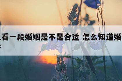 怎么看一段婚姻是不是合适 怎么知道婚姻好不好