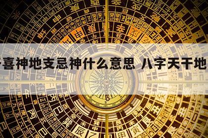 天干喜神地支忌神什么意思 八字天干地支喜忌