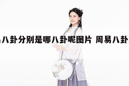 周易八卦分别是哪八卦呢图片 周易八卦卦象图