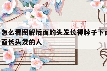 面相怎么看图解后面的头发长得脖子下面 脖子后面长头发的人