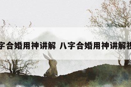 八字合婚用神讲解 八字合婚用神讲解视频