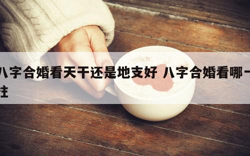 八字合婚看天干还是地支好 八字合婚看哪一柱