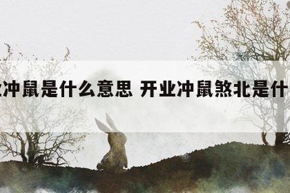 开业冲鼠是什么意思 开业冲鼠煞北是什么意思