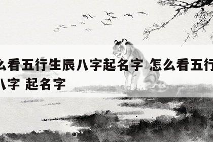 怎么看五行生辰八字起名字 怎么看五行 生辰八字 起名字