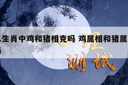 十二生肖中鸡和猪相克吗 鸡属相和猪属相相克吗