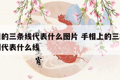手相的三条线代表什么图片 手相上的三根线分别代表什么线