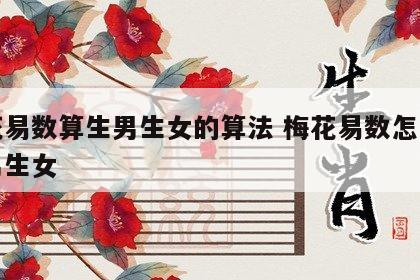 梅花易数算生男生女的算法 梅花易数怎么算生男生女