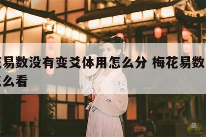 梅花易数没有变爻体用怎么分 梅花易数无变卦怎么看