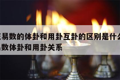 梅花易数的体卦和用卦互卦的区别是什么 梅花易数体卦和用卦关系