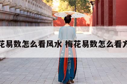 梅花易数怎么看风水 梅花易数怎么看方位