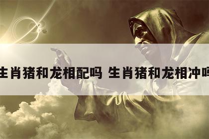 生肖猪和龙相配吗 生肖猪和龙相冲吗