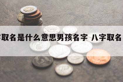 八字取名是什么意思男孩名字 八字取名的意义